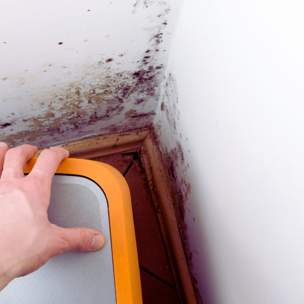 How To Control Basement Humidity