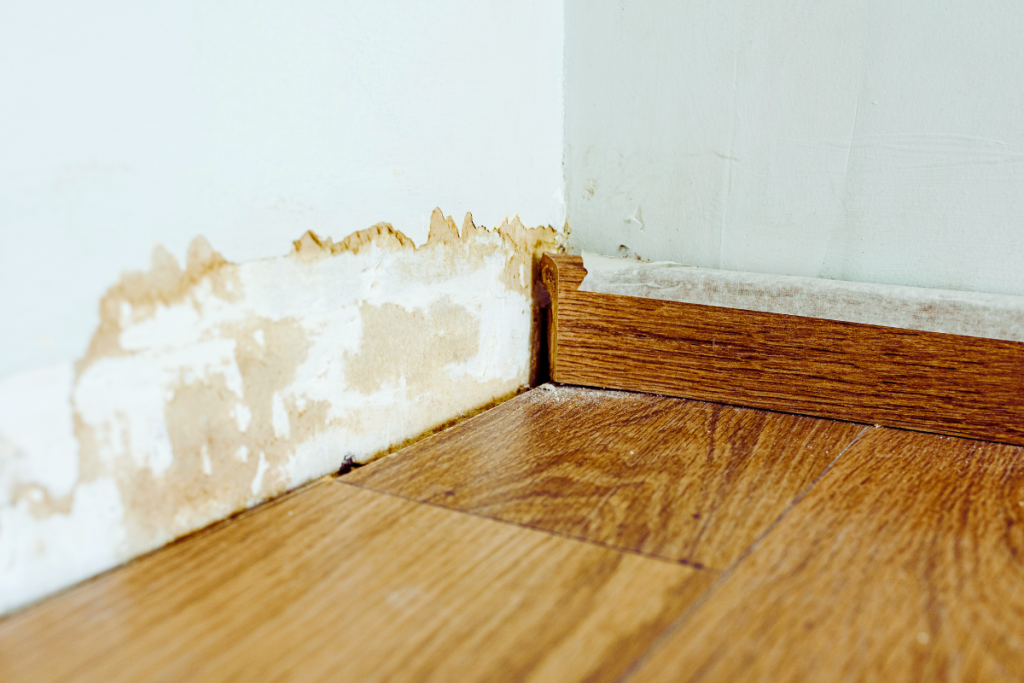 water seeping through basement walls leaving damp spots